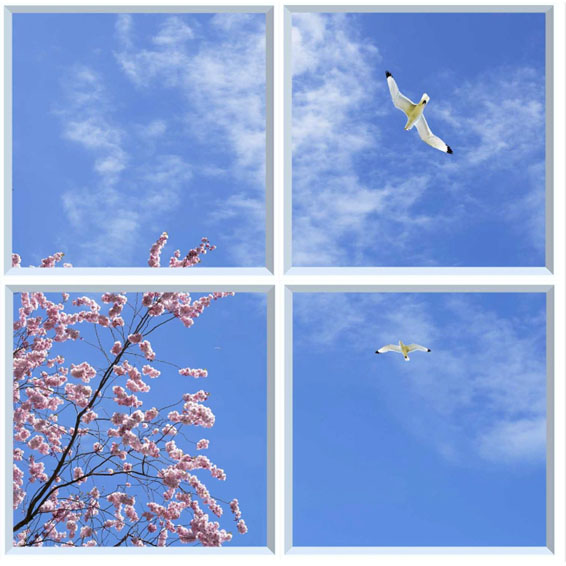 Skytak LED-belysning 60x60cm med himmelsmotiv - Bild 5